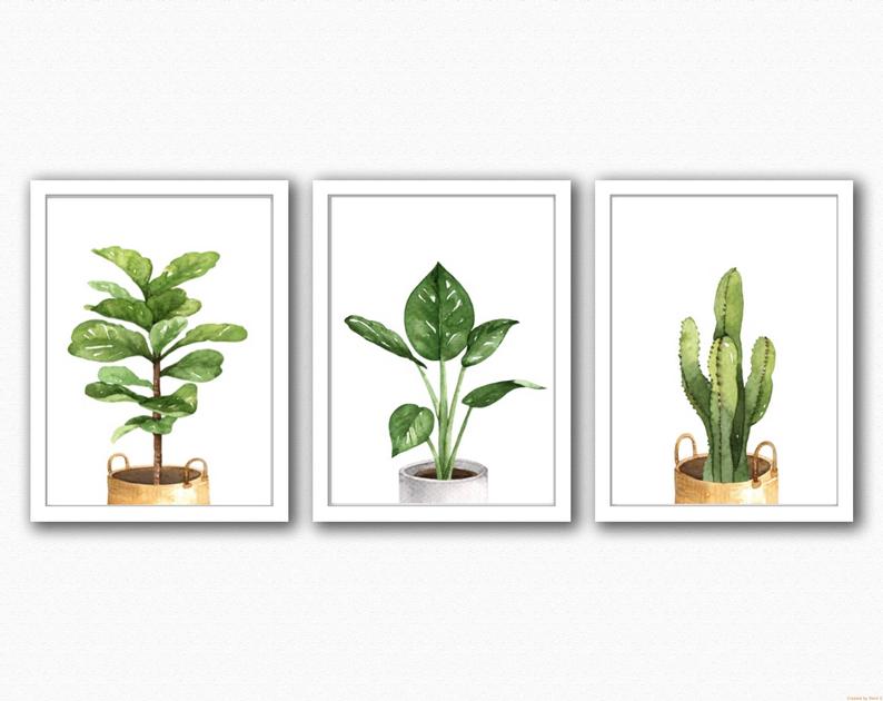 Set Three House Plants Prints