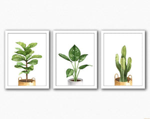 Set Three House Plants Prints
